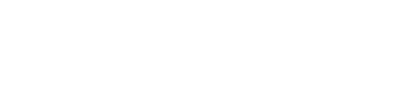 Voice 02