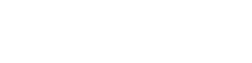 Voice 03