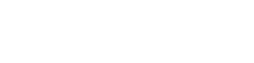 Voice 04