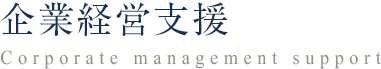 企業経営支援