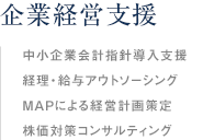企業経営支援